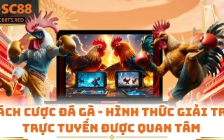 Cách Cược Đá Gà - Hình thức Giải trí Trực tuyến Được Quan Tâm