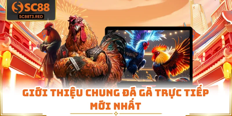 Giới thiệu chung đá gà trực tiếp mới nhất