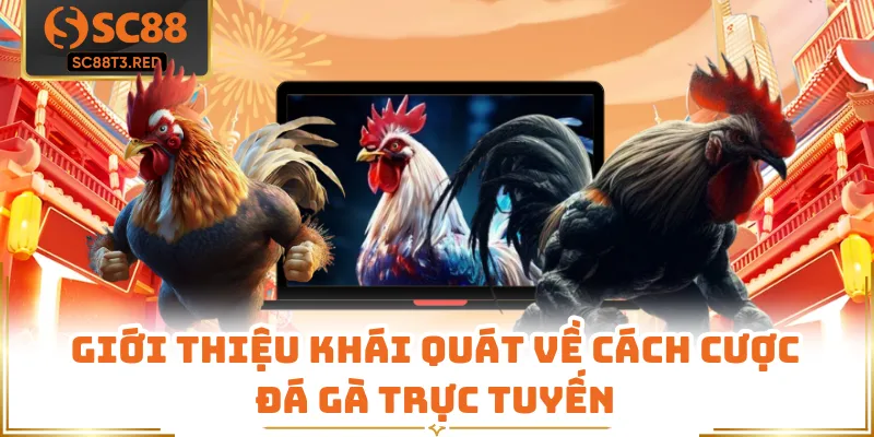 Giới thiệu khái quát về cách cược đá gà trực tuyến