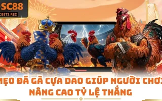 Mẹo Đá Gà Cựa Dao Giúp Người Chơi Nâng Cao Tỷ Lệ Thắng