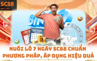 Nuôi Lô 7 Ngày SC88 Chuẩn Phương Pháp, Áp Dụng Hiệu Quả